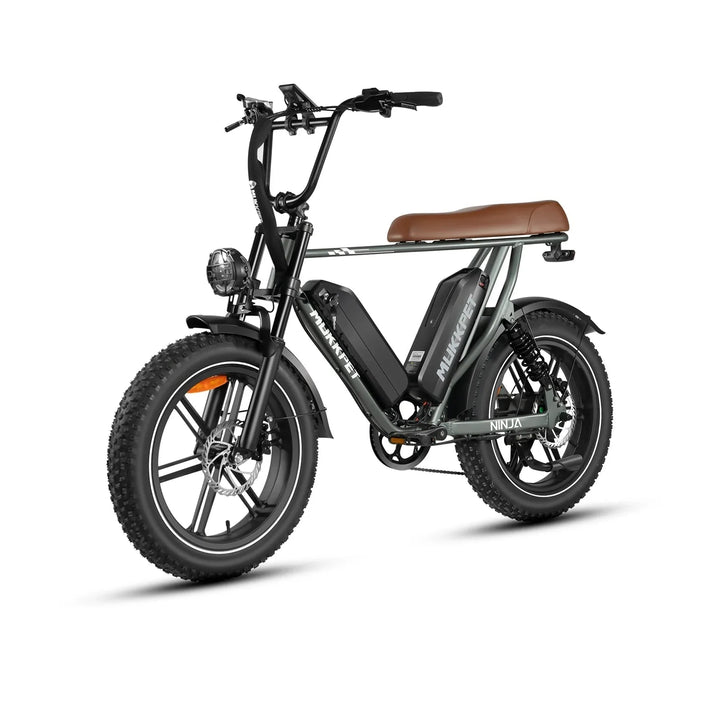 Mukkpet NINJA Moped-Style E-Bike  48V15AH | 750W motor
